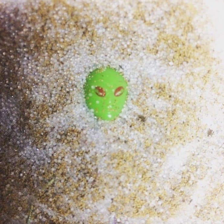 Beach alien - Image 1