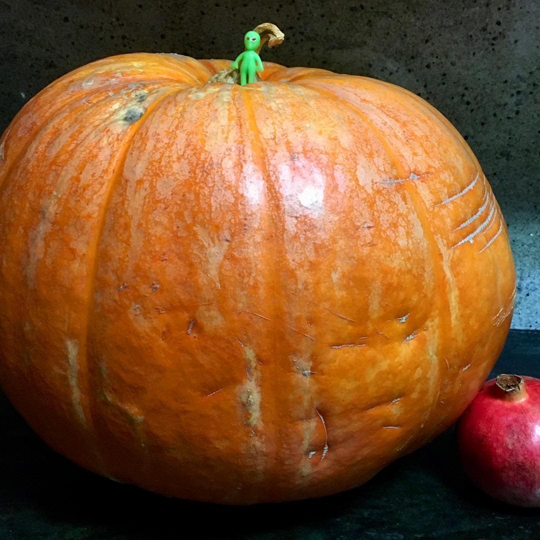 Pumpkin alien - Image 1