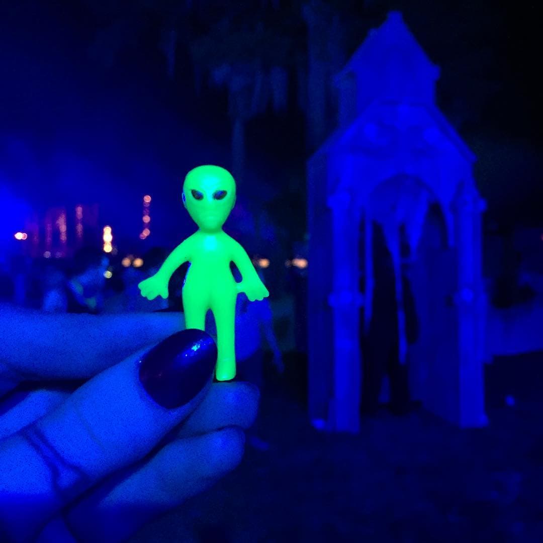 New Orleans - Image 1