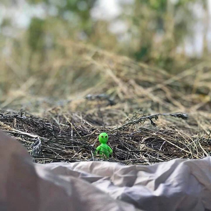 Ground alien - Image 1