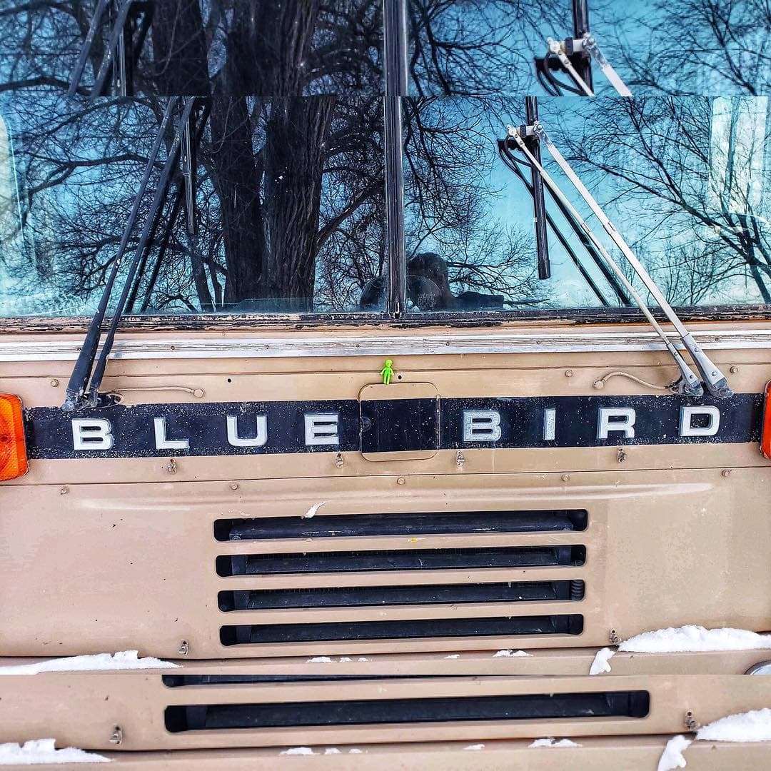 Blue Bird Party Bus - Image 1