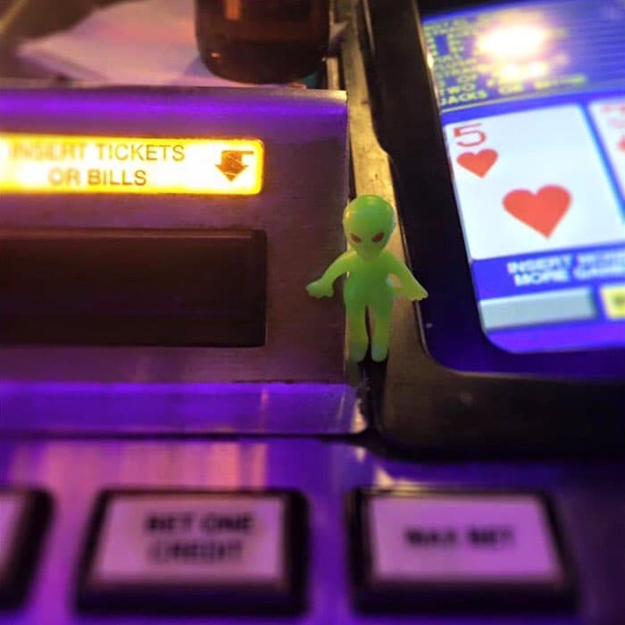 Vegas Vacation - Image 1