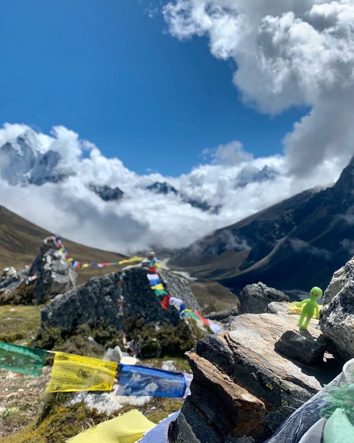 Himalayan alien - Image 1