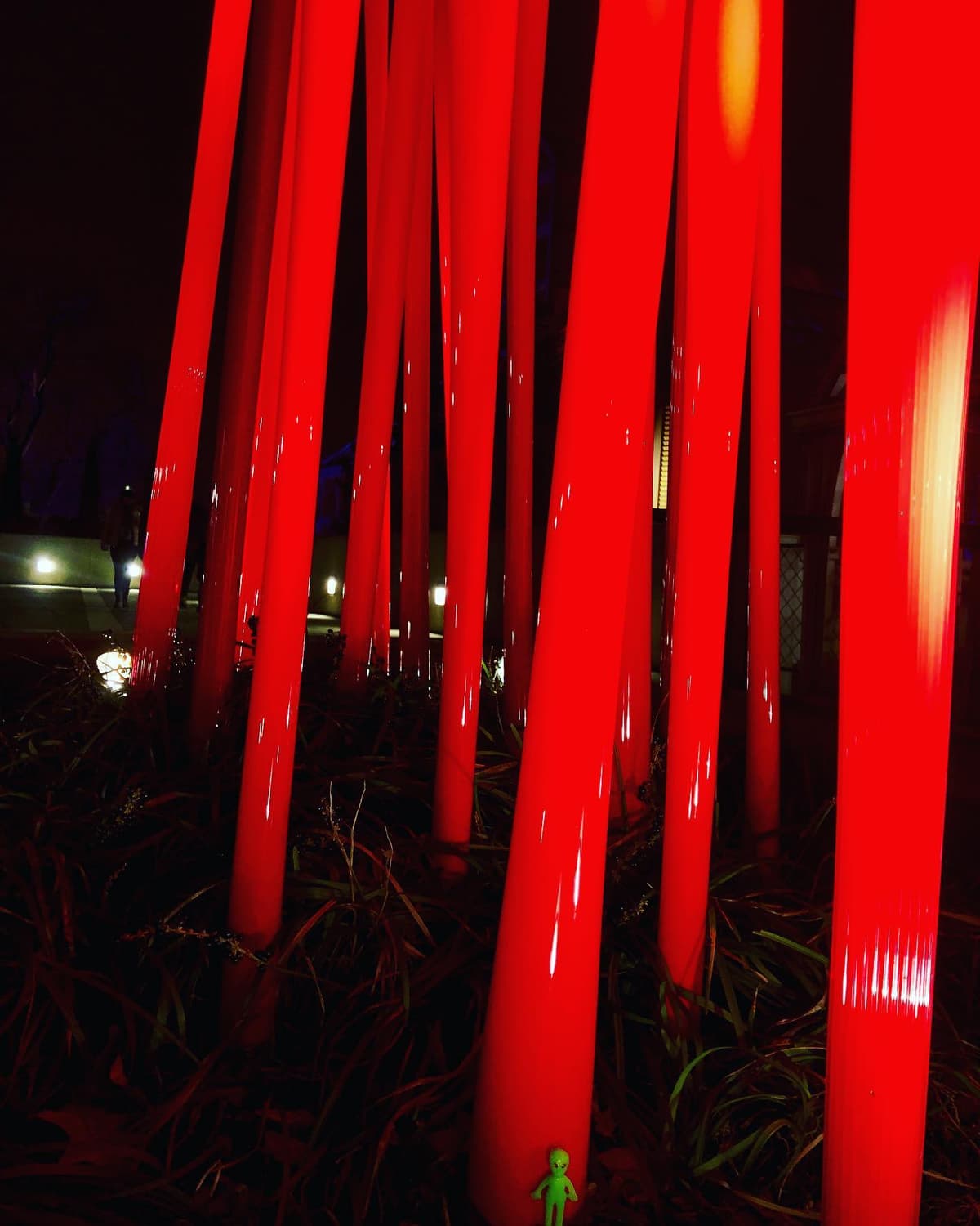 Chihuly Nights - Image 1