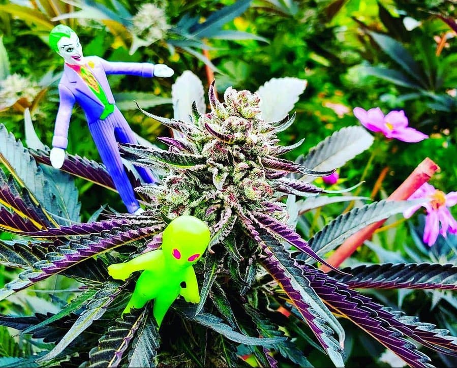 Paonia, Colorado - Image 1