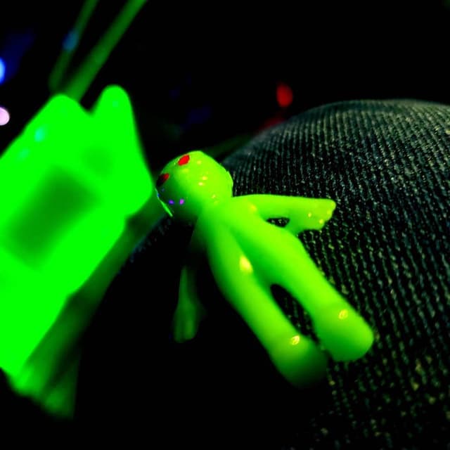 Movement Festival [2019]