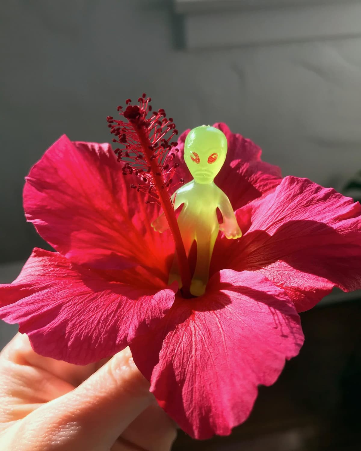 Hibiscus Alien 👽🌺 - Image 1