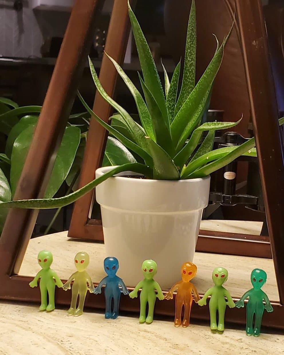 Quite a crew - Image 1