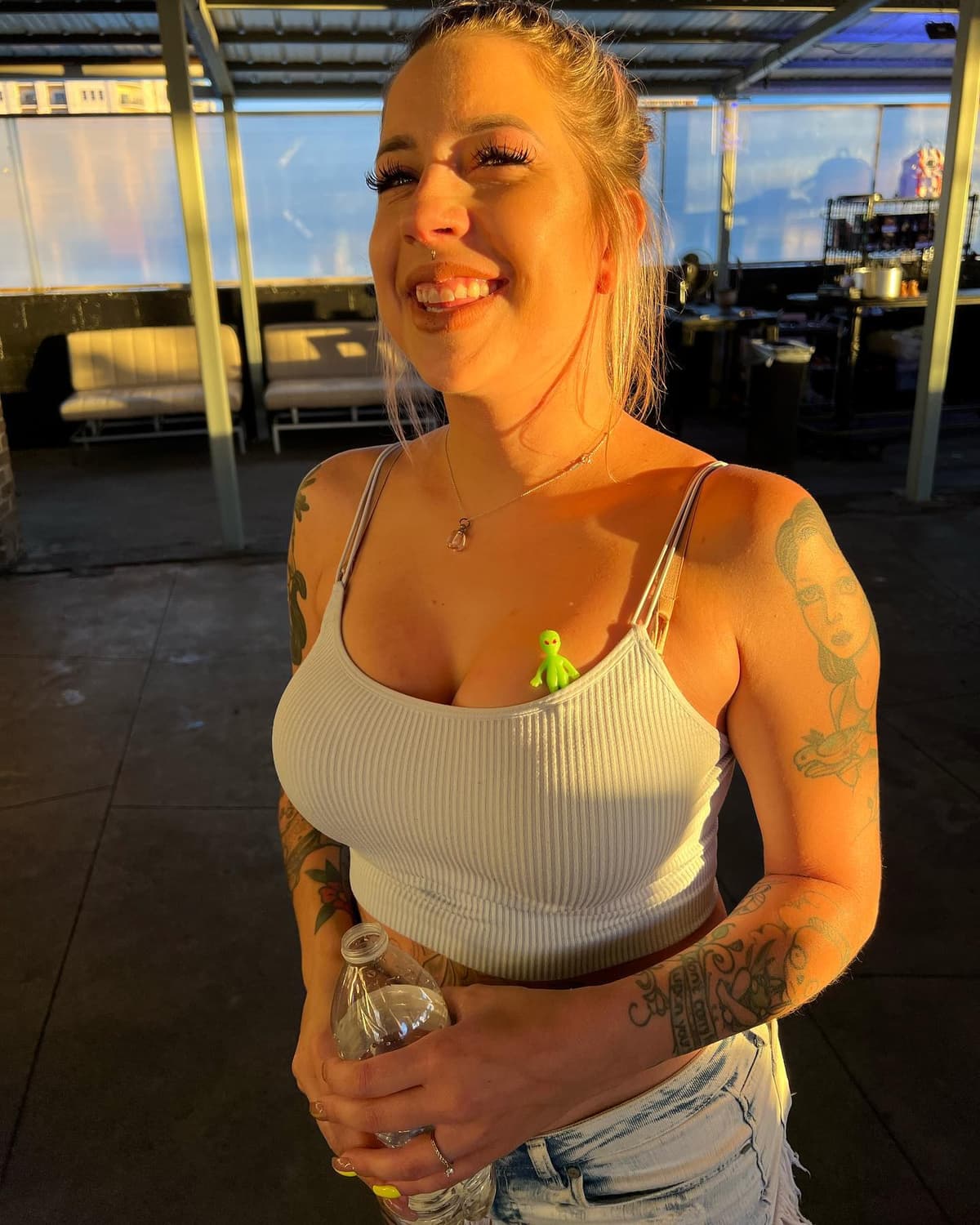 Vinyl rooftop - Image 1