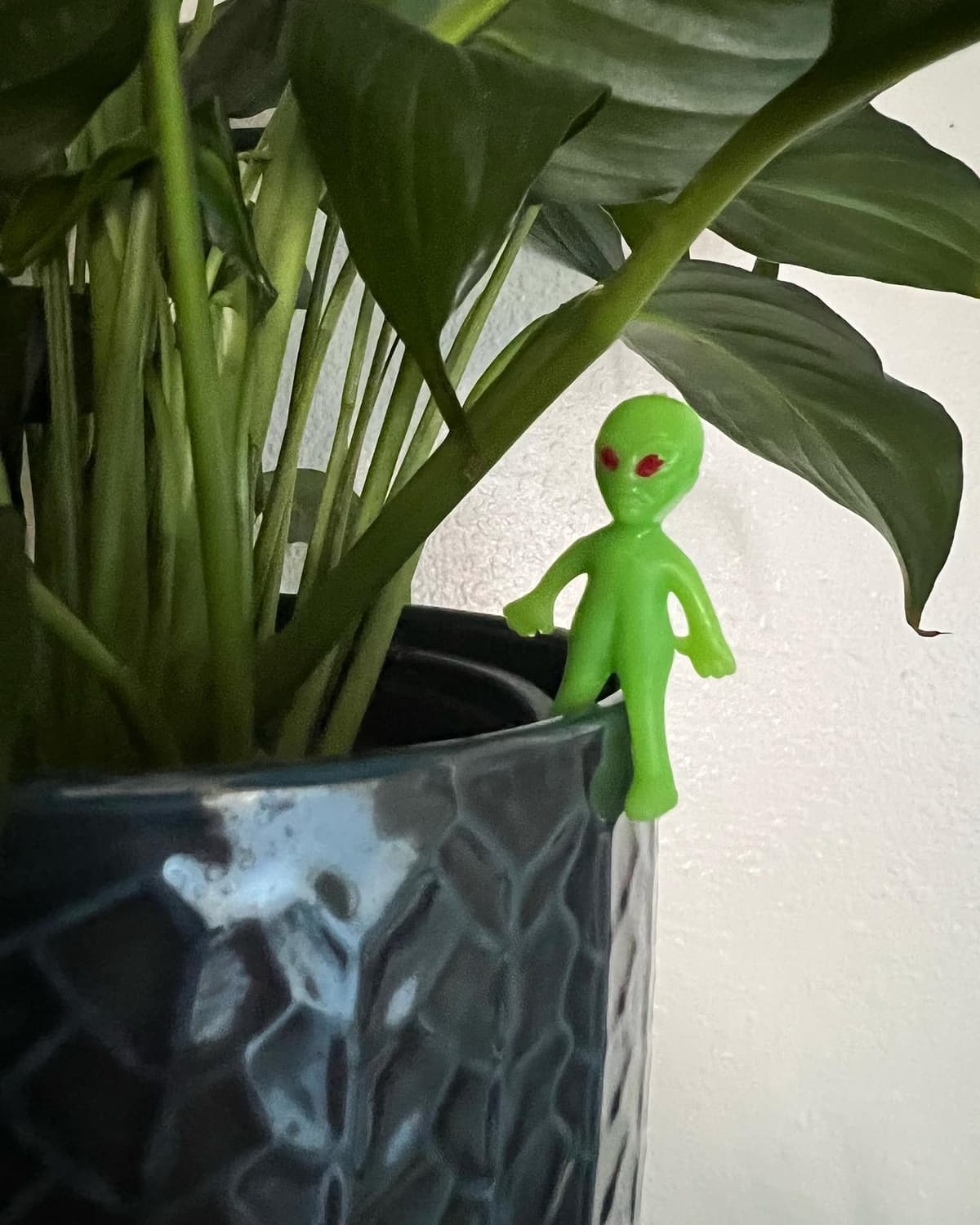 Green alien - Image 1