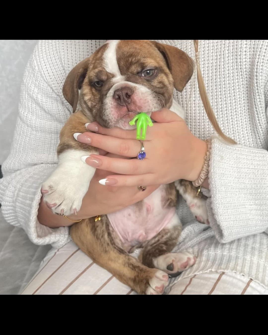 Puppy alien 🐶👽 - Image 1