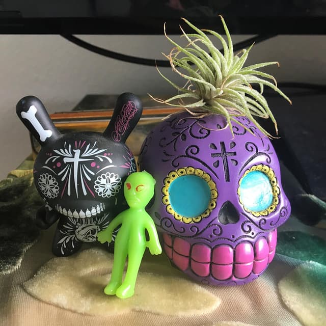 Alien & friends